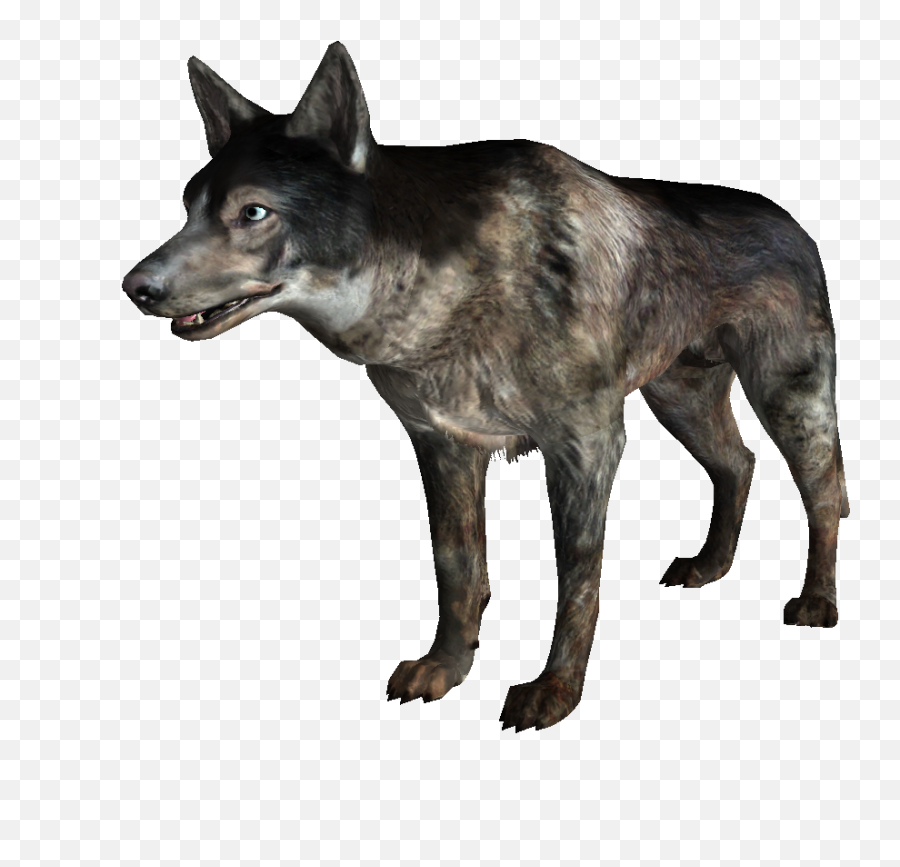 Dog Fallout 3 Wiki Fandom - Dogmeat Fallout 3 Png,Dogs Png