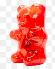 Clear Gummi Bear Funny Anatomy - Gummy Bear Png,Gummy Bear Png