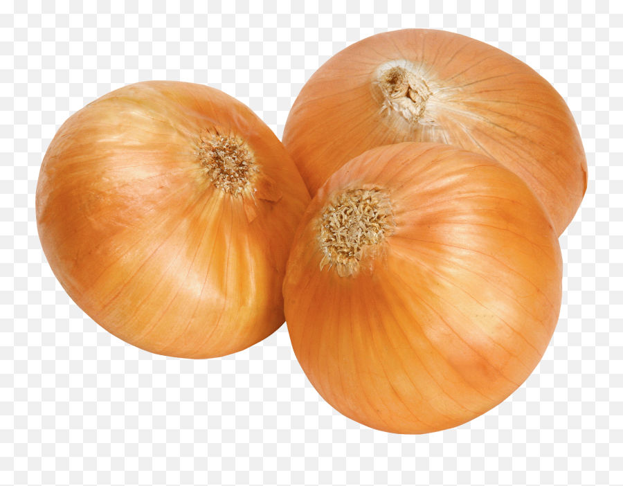 Onion Png Transparent Images