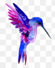 Hummingbird Clipart Free - Dibujos Con Acuarelas De Colibri Png,Humming Bird Png
