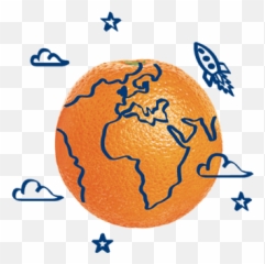 Jaffa Fruit Quality And Freshness Guaranteed - Disegno Minimal Bambino png