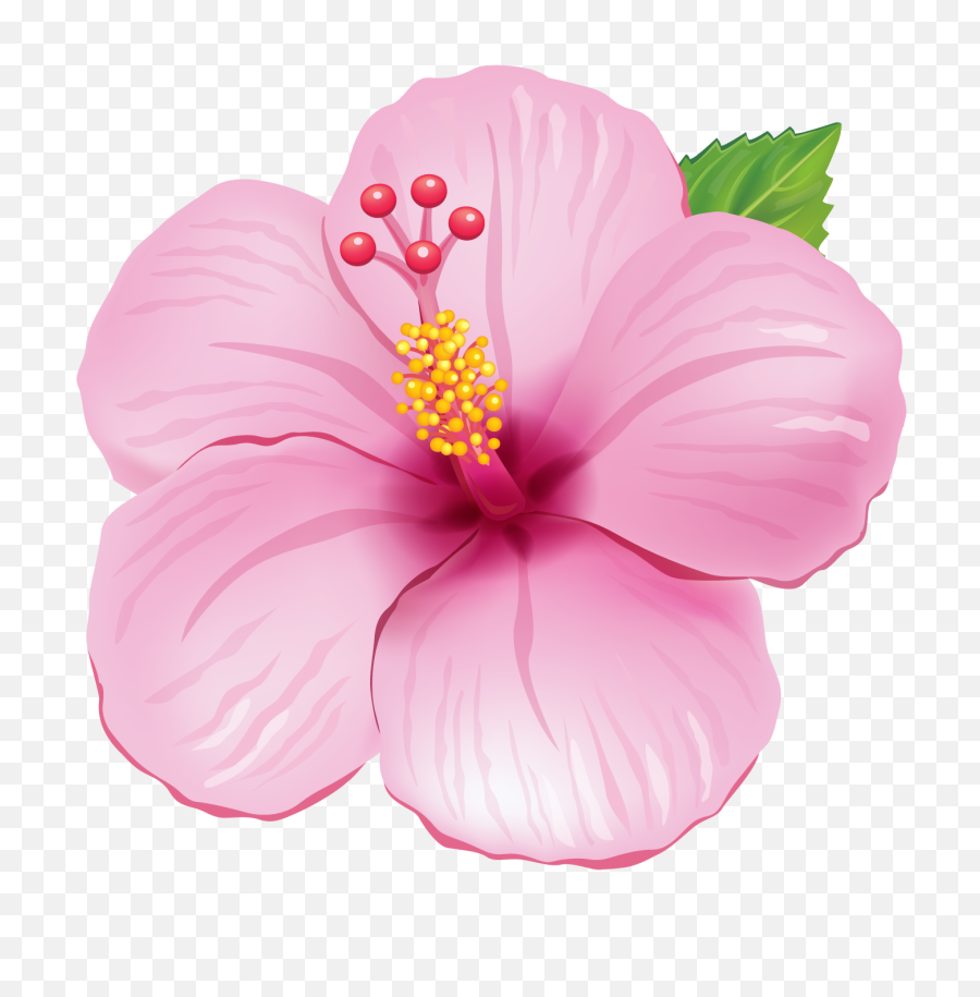 Transparent Tropical Flowers - Clipart Flower Png,Hawaiian Flowers Png