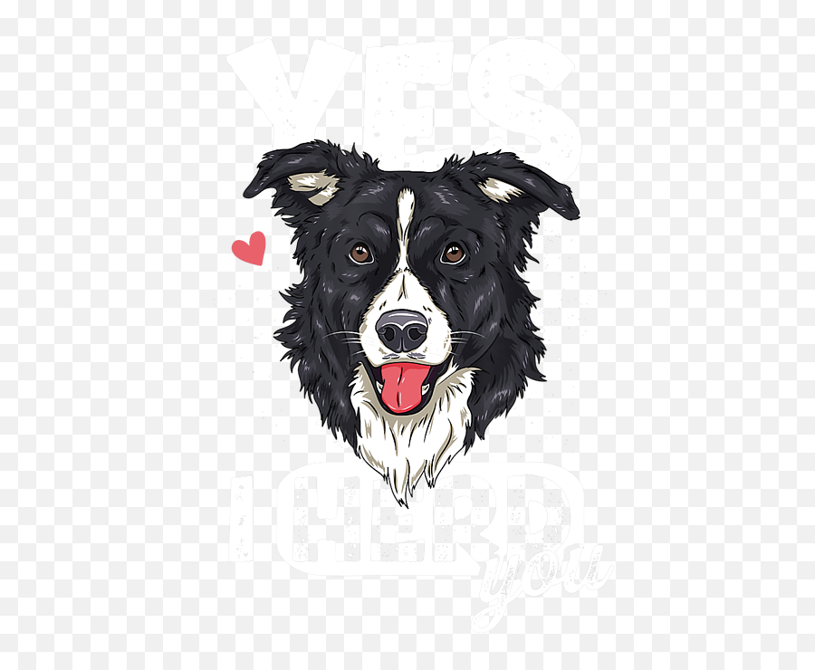 Funny I Herd You Border Collie Dog Lover Gift Tshirt Beach - Northern Breed Group Png,Icon Border Collies