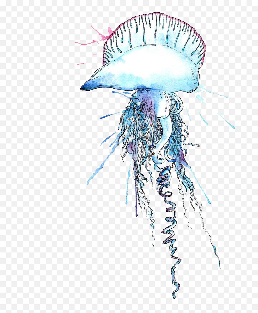 Free Png Blue Bottle Jellyfish Images Transparent - Man O War Jellyfish Transparent,Jellyfish Transparent Background