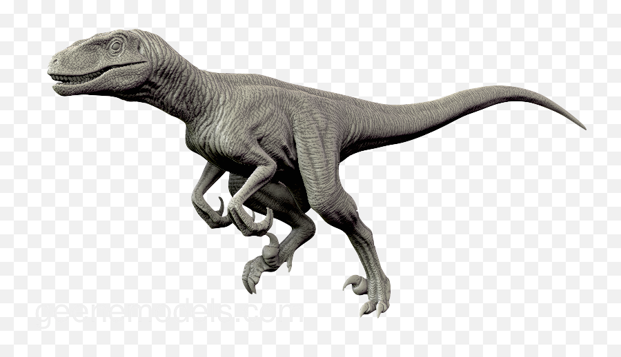 Download Velociraptor Png Transparent - Raptor Running,Velociraptor Png