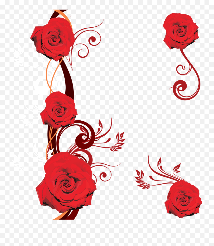 Red Flower Vector Png - Red Flower Vector Design,Red Flowers Png