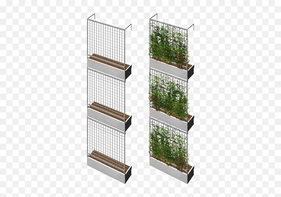 Green Wall Rendering - Green Facade Balcony Png,Green Wall Png