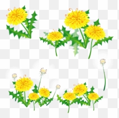 Download Dandelion Png Image For Free - Transparent