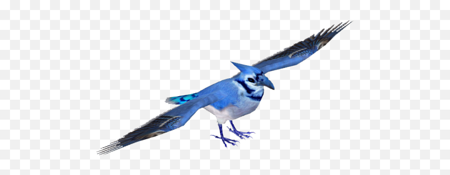 Blue Jay Png Image - Blue Jay,Blue Jay Png