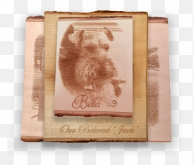 Wood Planks Png