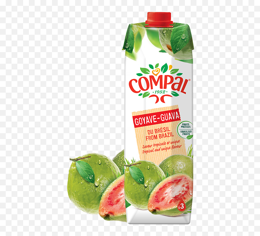 Compal Guava Juice From Brazil Sizes Available 6x 1ltr - Compal Goiaba Png,Guava Png