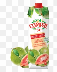 Compal Guava Juice From Brazil Sizes Available 6x 1ltr - Compal Goiaba Png,Guava Png
