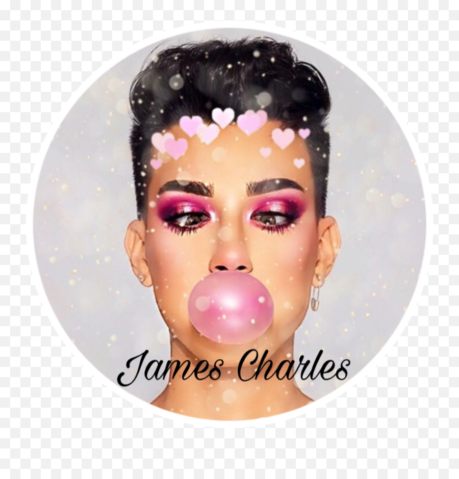 James Charles Palette Pink Eyeshadow - James Charles Bubble Gum Pop Png,James Charles Png