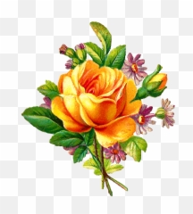 Vine Rose Clip Art Free Best - Yellow Bunch Of Yellow Rose Flowers Png,Rose Vine Png