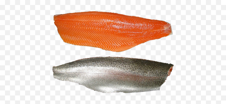 Trout - Camsac As Seafood Action Center As Png,Trout Png