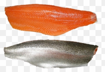 Trout - Camsac As Seafood Action Center As Png,Trout Png