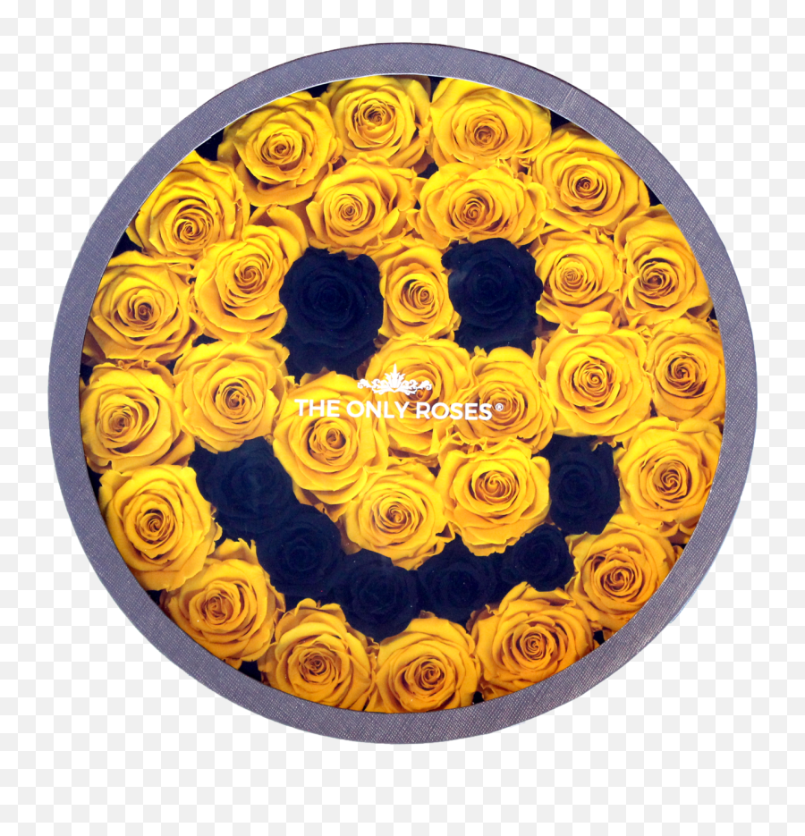Smiley Face Emoji Large Round Classic Grey Box - American Museum Of Natural History Png,Happy Face Emoji Png
