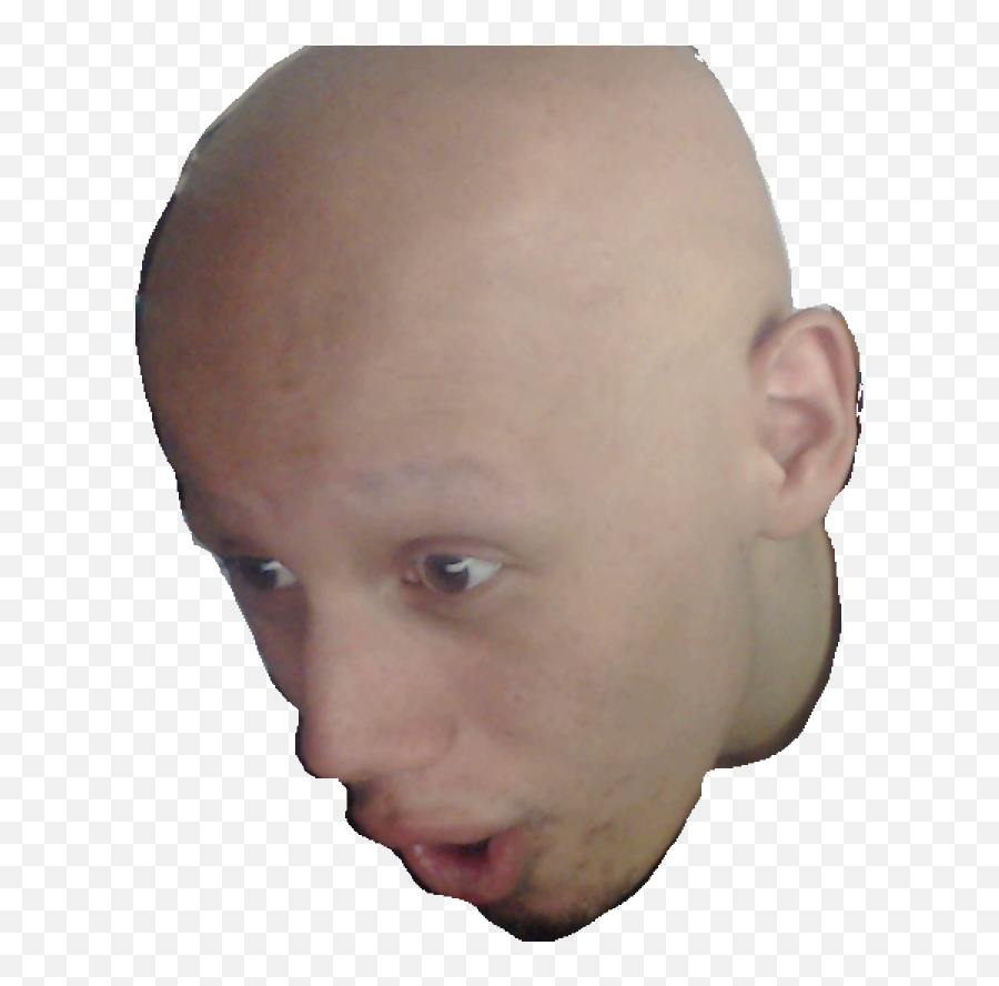 Paintedwhit3 Streamlabs - Baby Looking Curiously At Things Png,Pog Champ Png