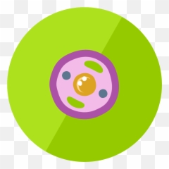 Animal Cell Icon Png Clipart