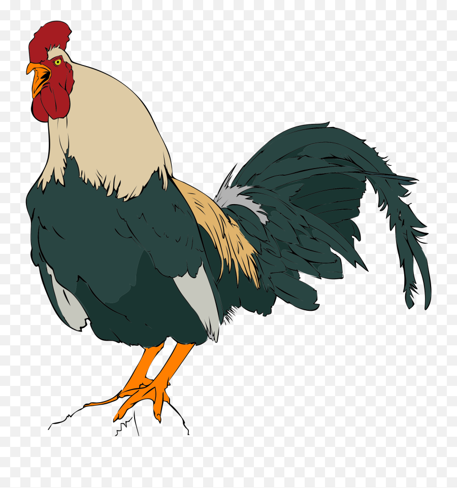 Rooster Clipart 01 - Rooster Clip Art Png,Rooster Png