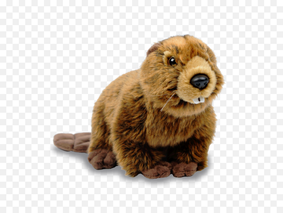 Snakes Png And Vectors For Free Download - Dlpngcom Stuffed Beaver Toy Canada,Snakes Png