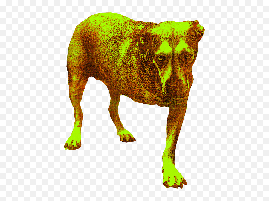 High Quality Tripod Png Yes Unexpectedtripod - Alice In Chains Alice In Chains,Yes Png