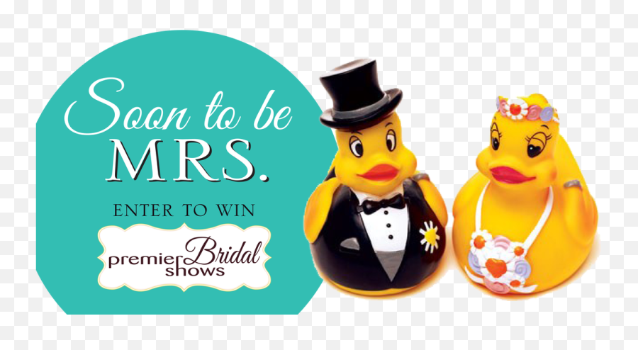Wedding Sweepstakes And Giveaways - Funny Rubber Ducks Png,Enter To Win Png