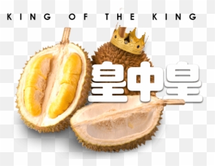 Durian Png - Durian,Durian Png