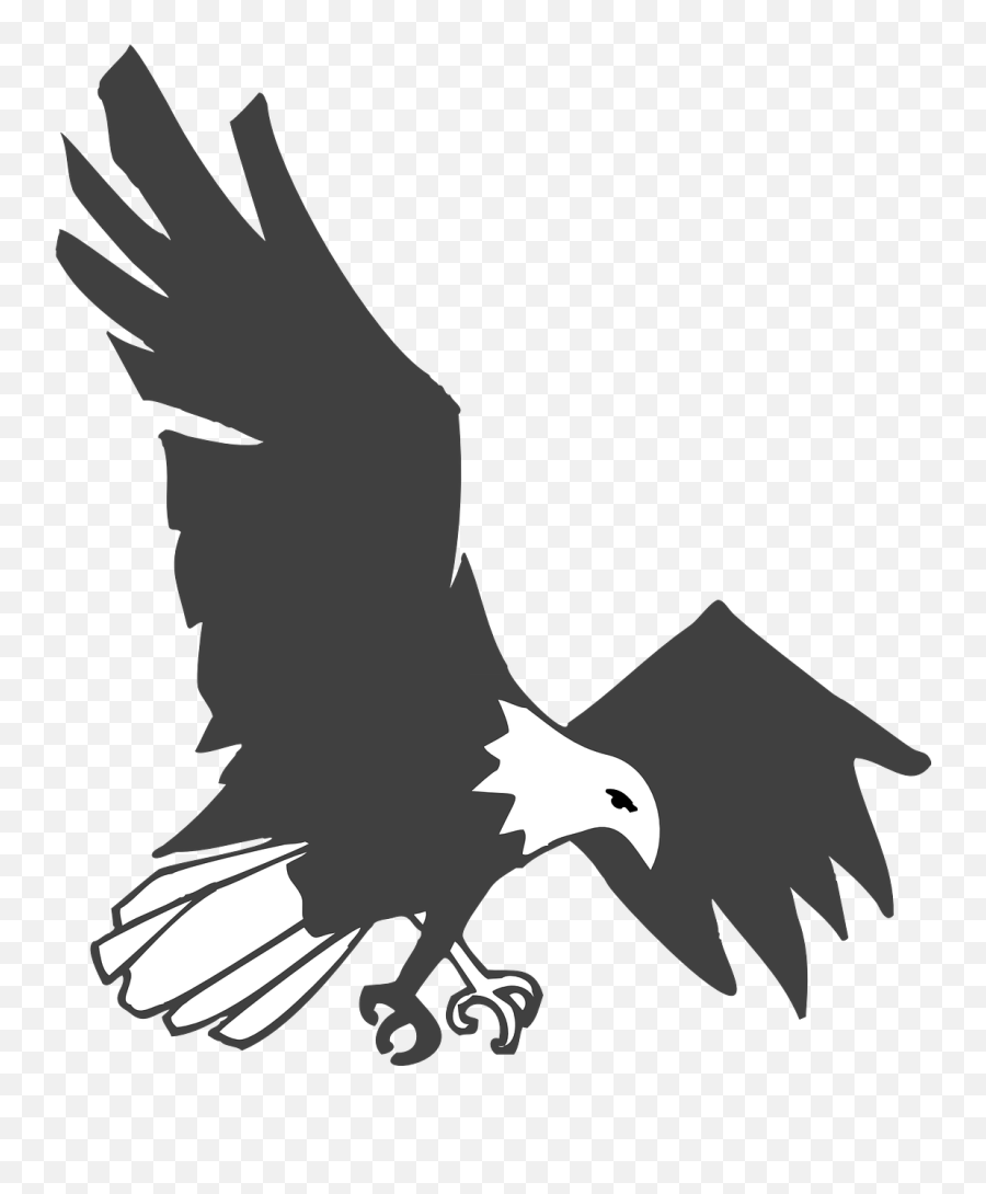 Free Beautiful Black And White Wallpapers Download - Eagle Flying Black And White Png,Thrasher Logo Wallpaper