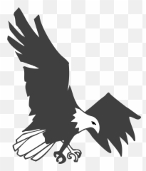 Free Beautiful Black And White Wallpapers Download - Eagle Flying png