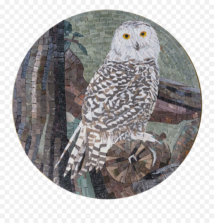 Barn Owl Mosaic Wall Art - Snowy Owl Png,Barn Owl Icon
