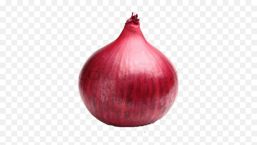 Red Onion Png 2 Image - Red Onion Png,Onion Png