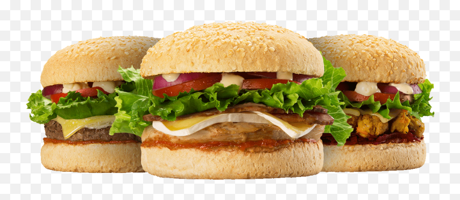 Hd Png Transparent Burger - Shake Shack Burgers Png,Burger Png