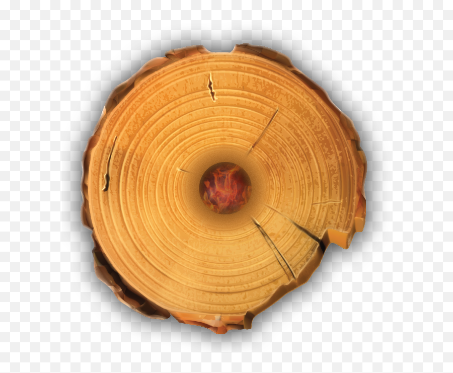 Download Timber Tote Log Top View - Tree Stump Full Size Tree Stump Rings Png,Tree Top View Png