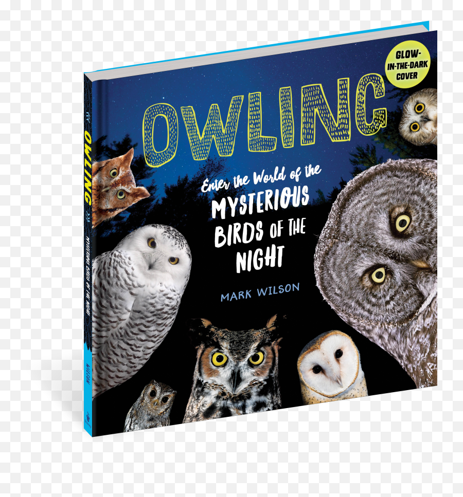 Owling - Owling Book Png,Owl Eyes Logo