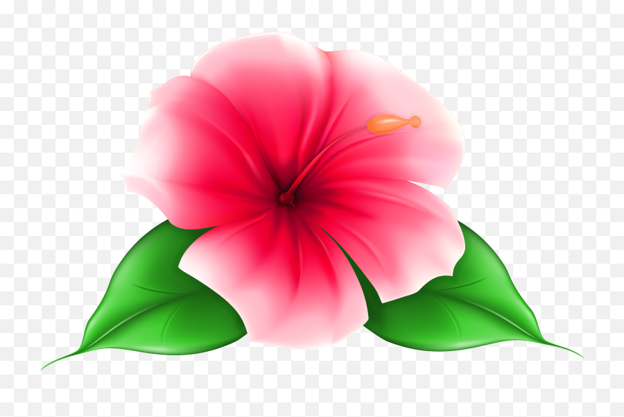 Exotic Flower Png Clip Art Imageu200b - Transparent Background Flower Clipart,Hawaiian Flowers Png
