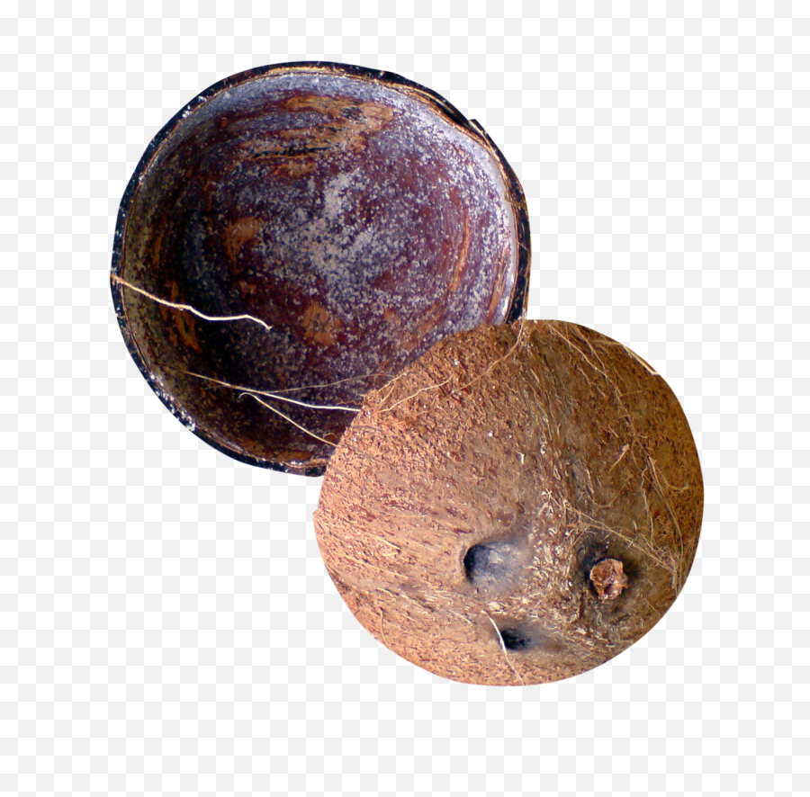Half Coconut Png Picture Mart - Coconut Shell Png,Coconut Png