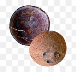 Half Coconut Png Picture Mart - Coconut Shell Png,Coconut Png