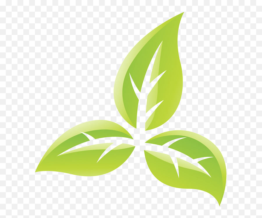 Best Bootcamp Norwich - Tobacco Plant Transparent Png,Plant Cartoon Png