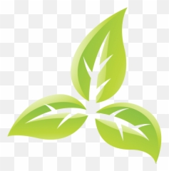 Best Bootcamp Norwich - Tobacco Plant Transparent png