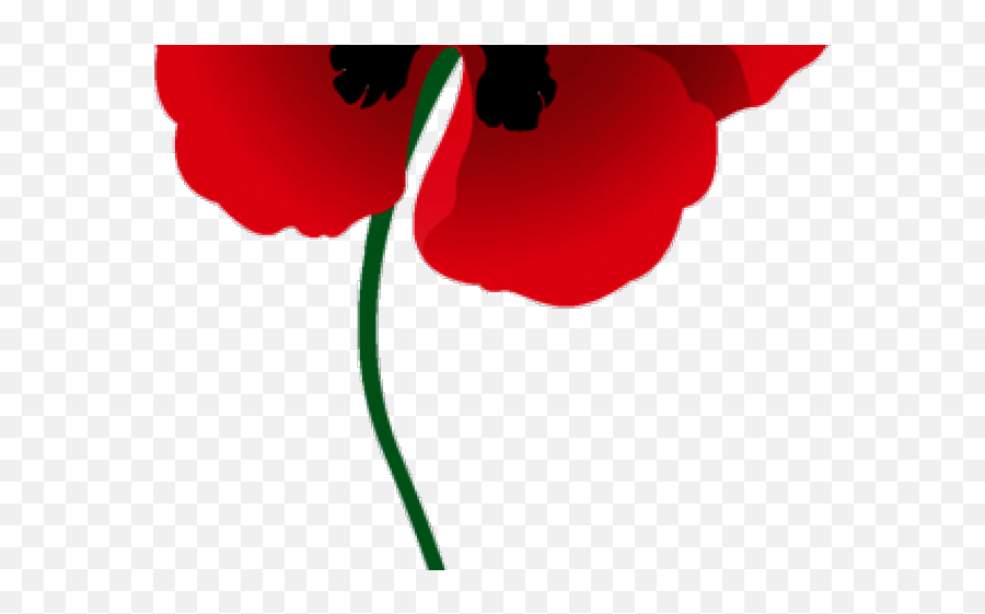 Poppy Clipart Red - Transparent Background Clip Art Poppy Remembrance Day Png,Poppy Png