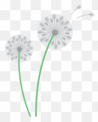 Dandelion Png V