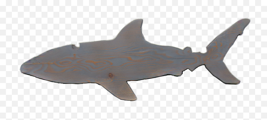 Gray Wood Shark - Great White Shark Png,Shark Transparent Background