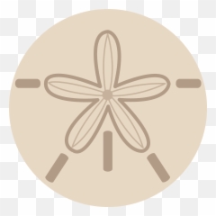 Sand Dollar Shell Design - Clipart Png