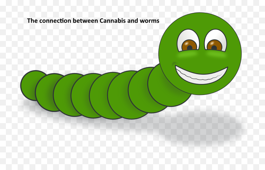 Connection Between Cannabis - Worm Clip Art Png,Worms Png