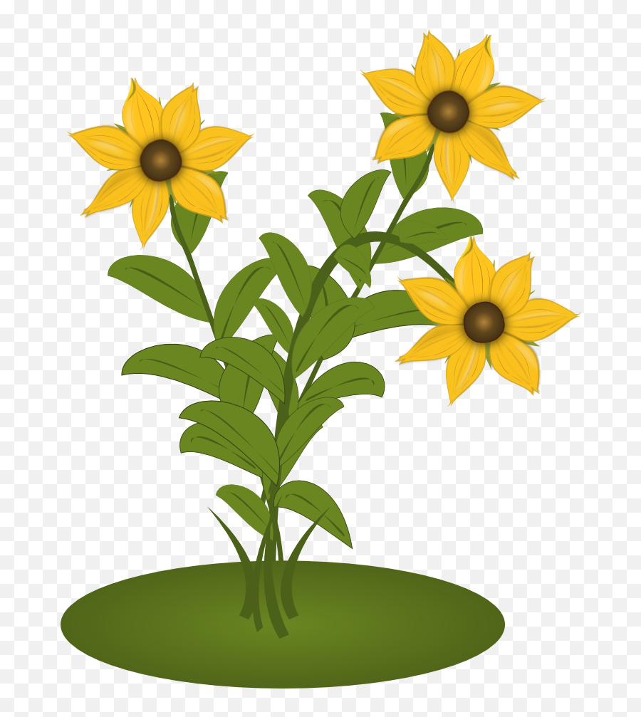Black Eyed Susans - Sunflower Clipart Full Size Clipart Clip Art Png,Sunflower Emoji Png