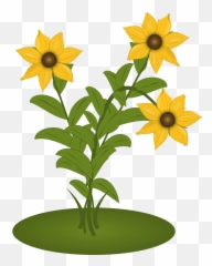 Black Eyed Susans - Sunflower Clipart Full Size Clipart Clip Art Png,Sunflower Emoji Png