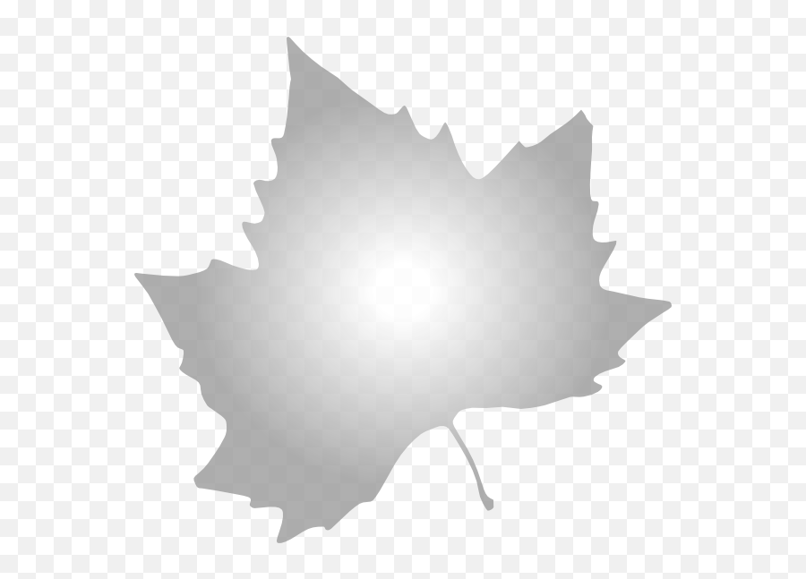 Grey Maple Leaf Clip Art - Vector Clip Art Autumn Leaves Clip Art Png,Maple Png