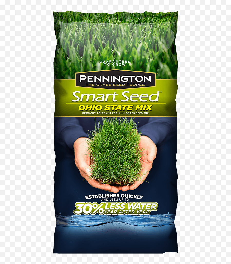 Premium Grass Seed For Home Lawns Pennington - Northeast Grass Seed Mix Png,Grass Transparent