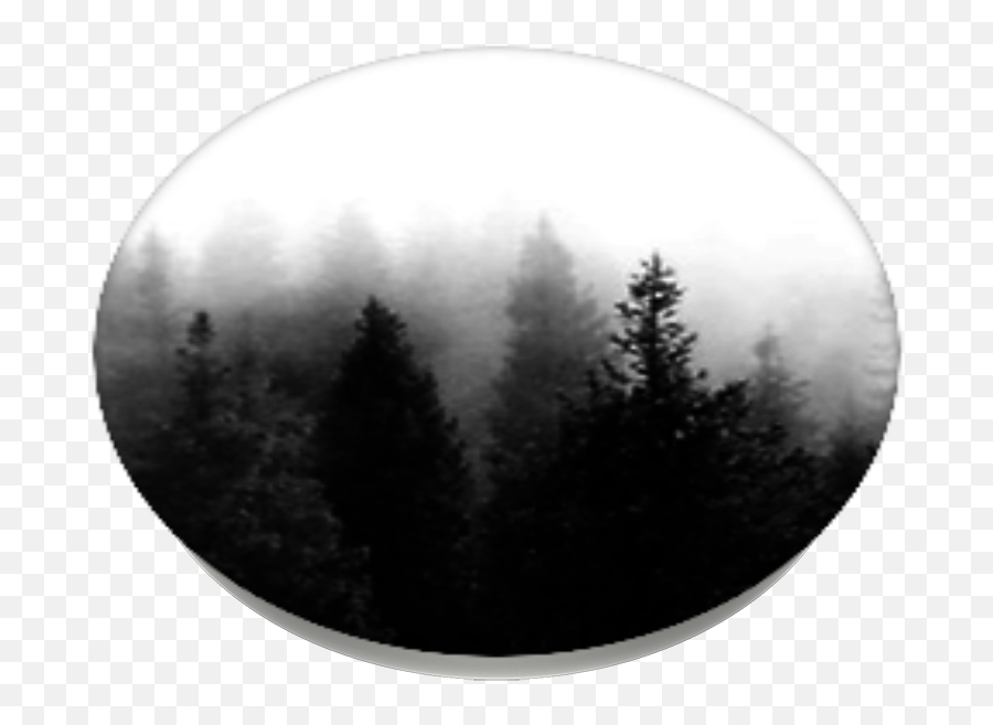 Download Dark Forest Popsockets - Christmas Tree Full Larch Png,Forest Tree Png